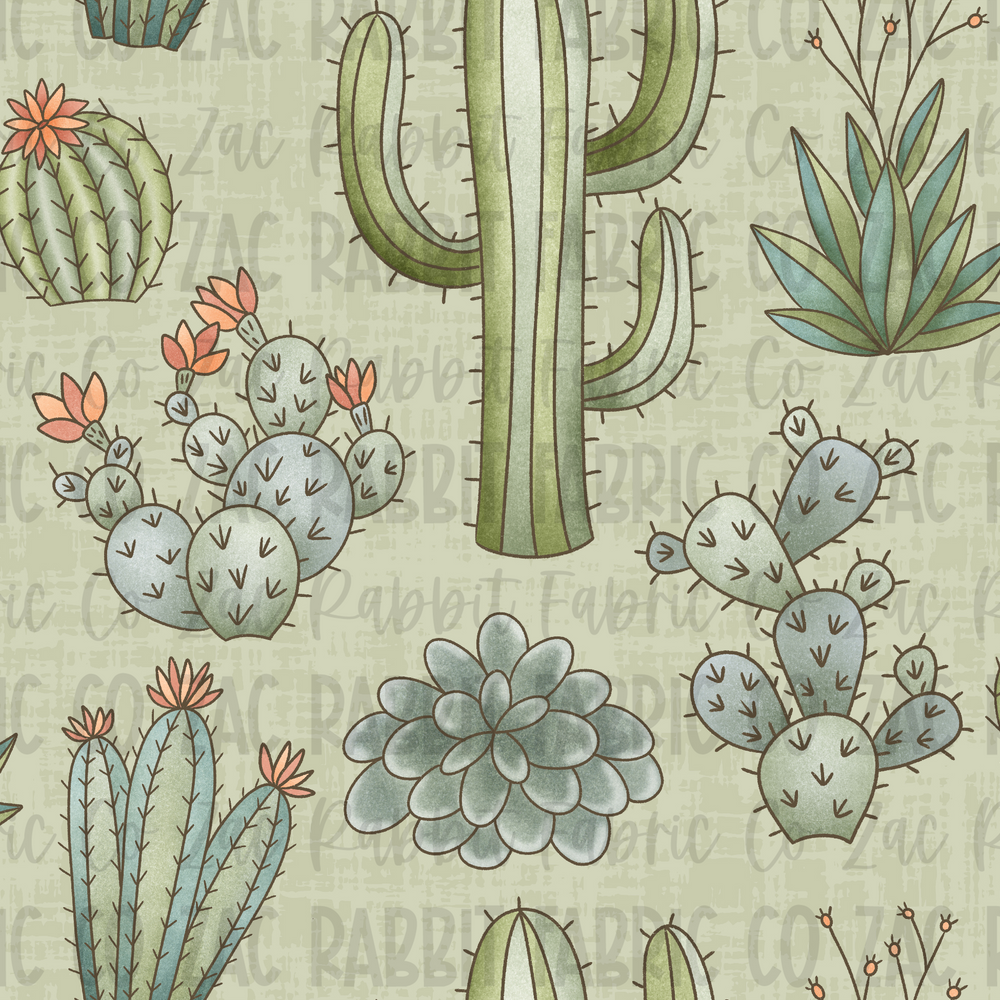Cactus Aloe - Mesa - PREORDER