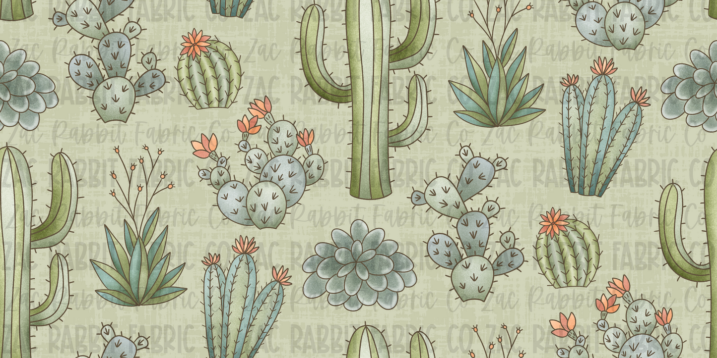 Cactus Aloe - Mesa - PREORDER