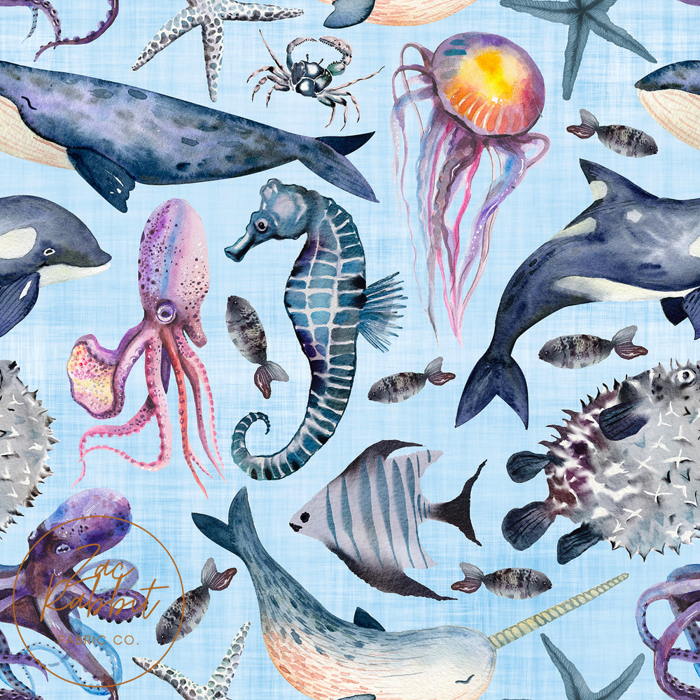 Ocean Animals